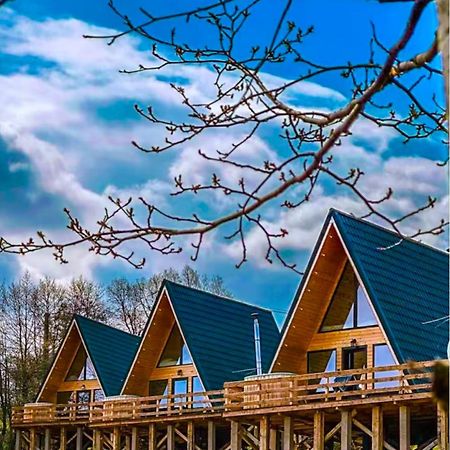 Cabana 365 Brasov Luaran gambar