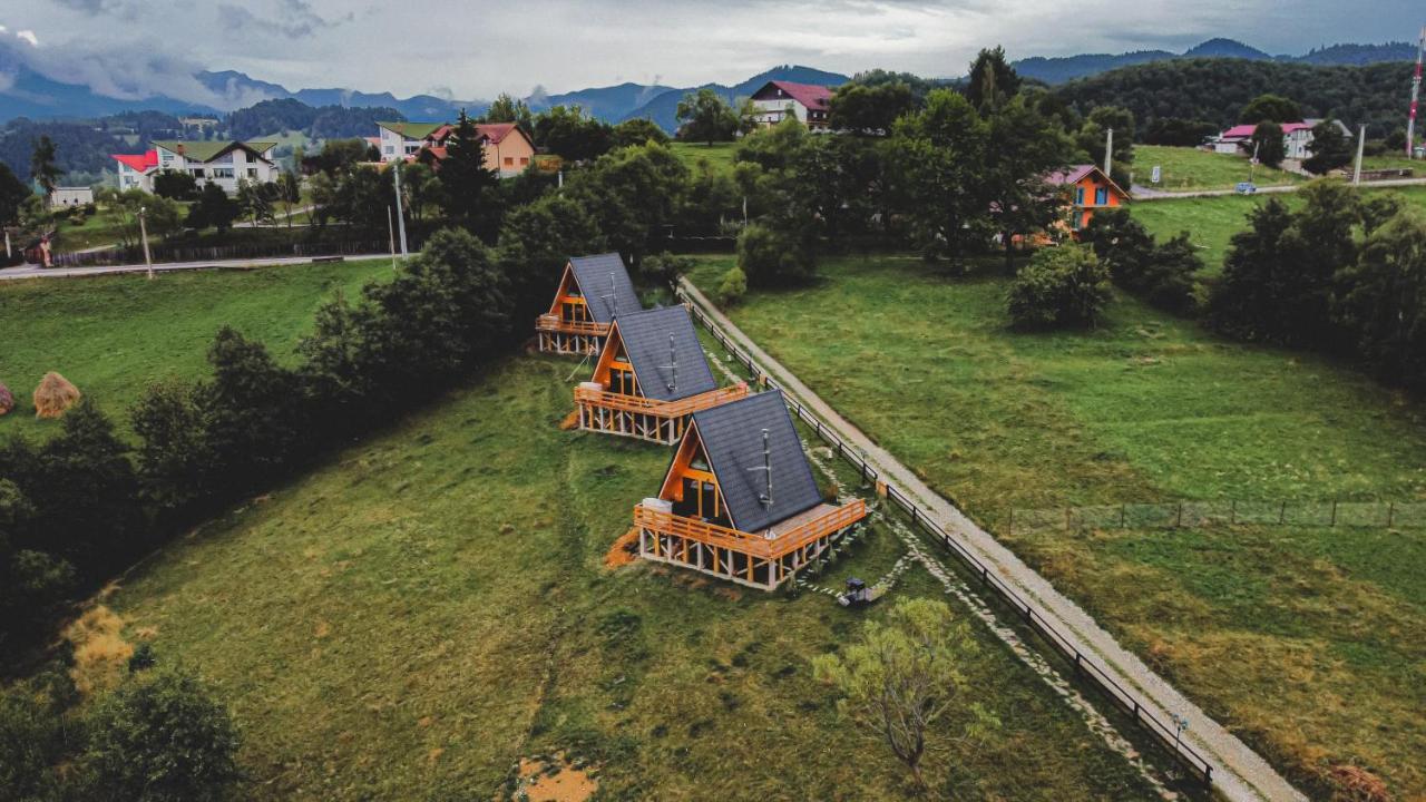 Cabana 365 Brasov Luaran gambar