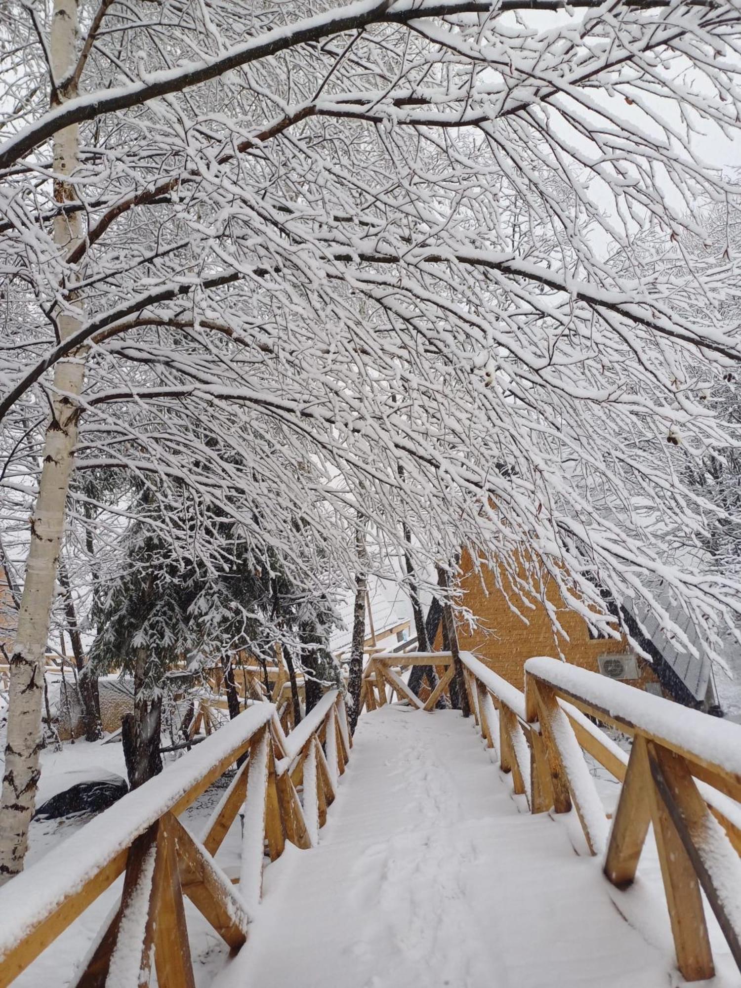 Cabana 365 Brasov Luaran gambar