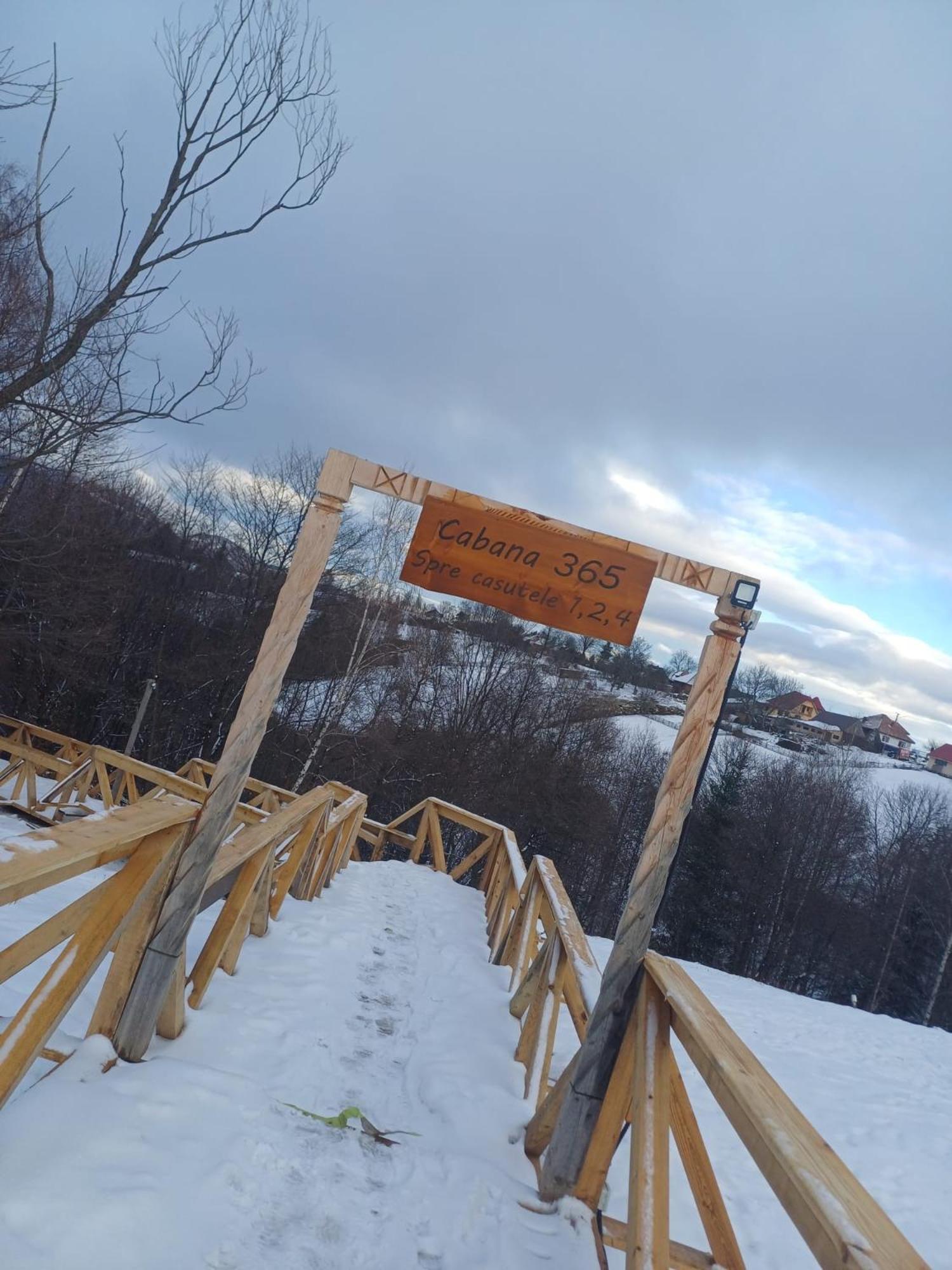 Cabana 365 Brasov Luaran gambar