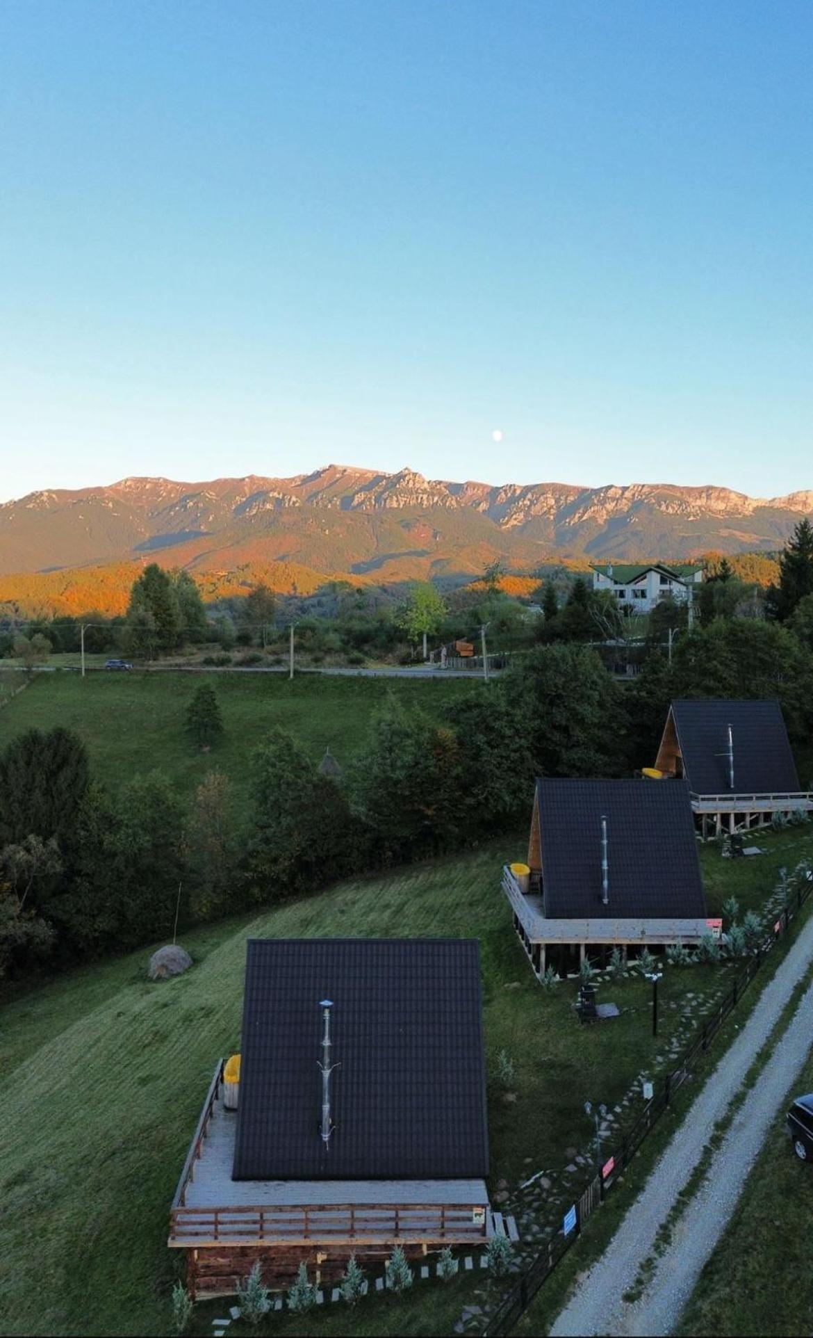 Cabana 365 Brasov Luaran gambar