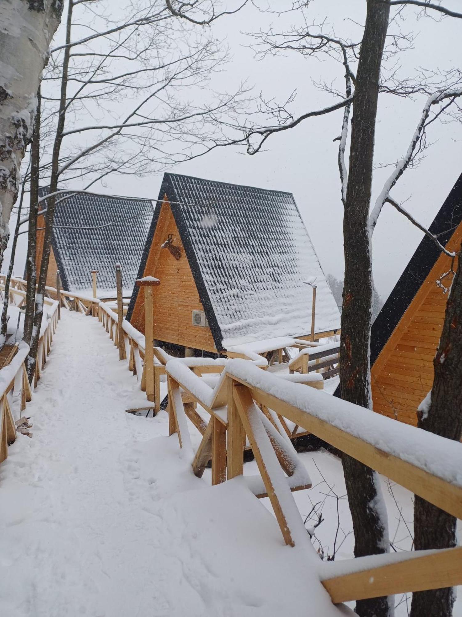 Cabana 365 Brasov Luaran gambar