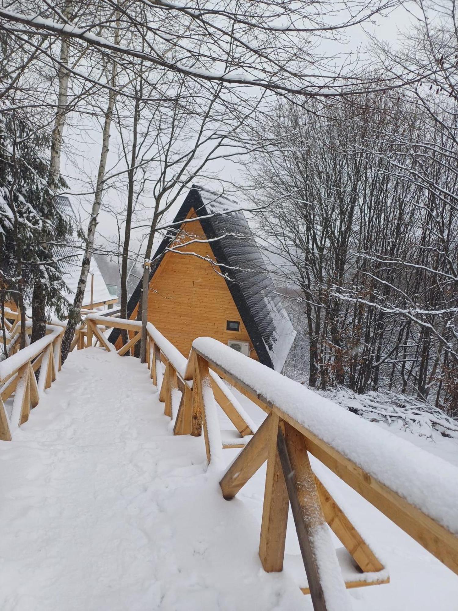 Cabana 365 Brasov Luaran gambar
