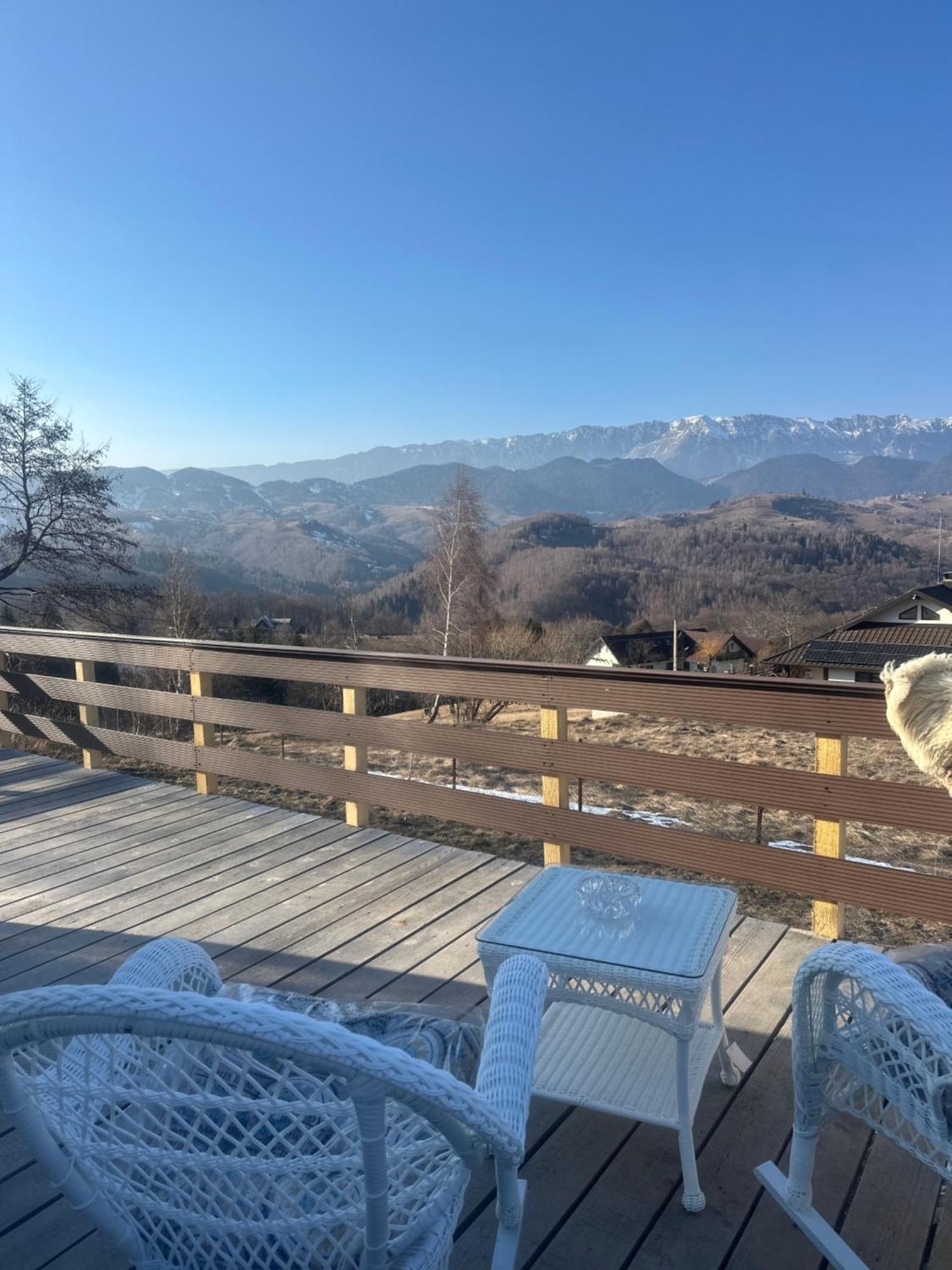 Cabana 365 Brasov Luaran gambar
